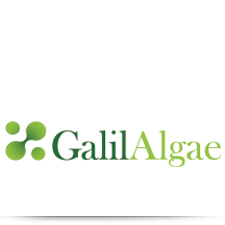 galil algea logo by arttag