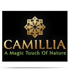 camillia hair products. arttag branding