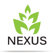 עיצוב לוגו לחברת nexus