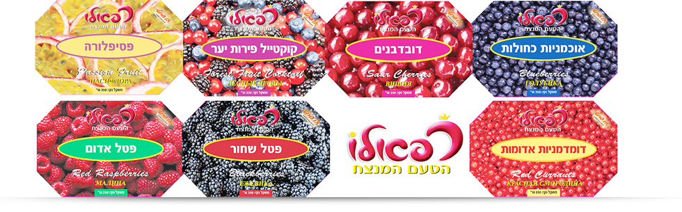 rafaelo  מיתוג ועיצוב אריזות קוסמטיקה ומוצרי שיער ארט-תג. ענת הר-גיל. arttag. ארתג