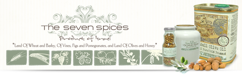 seven  מיתוג ועיצוב אריזות קוסמטיקה ומוצרי שיער ארט-תג. ענת הר-גיל. arttag. ארתג